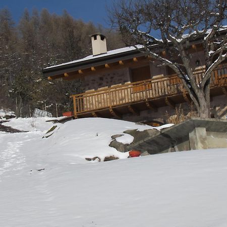 Agritur Maso Bornie Hostal Grauno Exterior foto